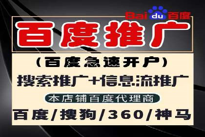 精准投放，高效转化——SEM竞价推广案例分享